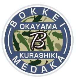 ぼっけーめだか