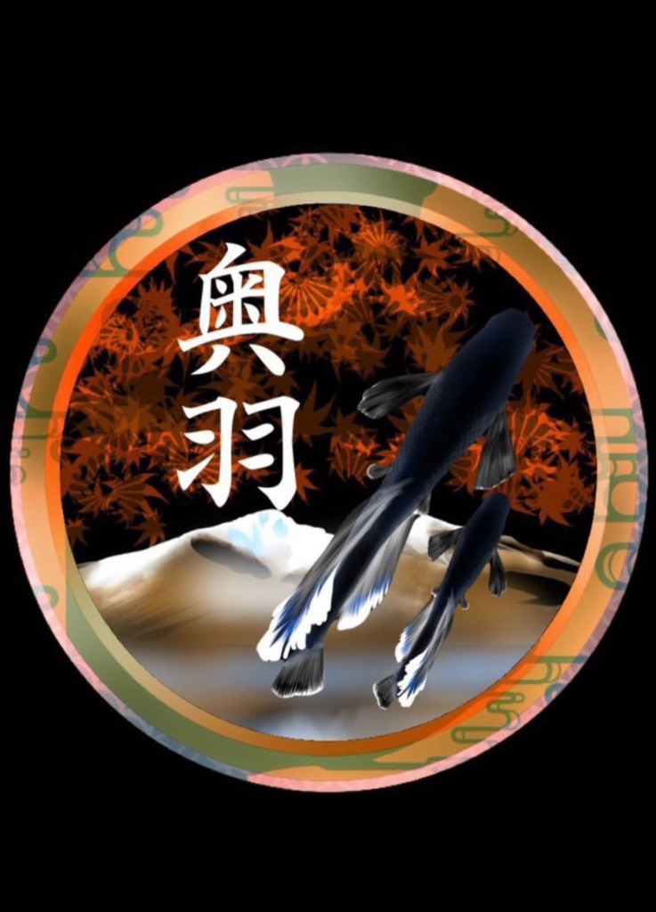 奥羽めだか